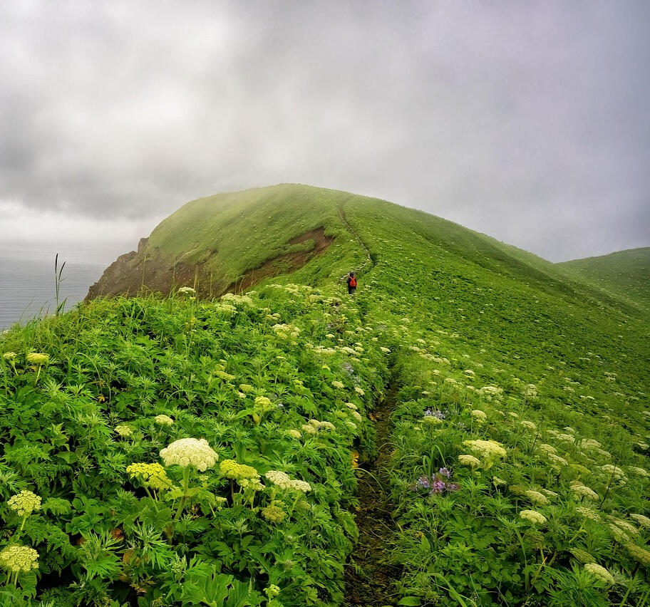 Ahron Ahron On A Mountain